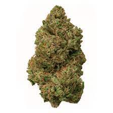 Indica