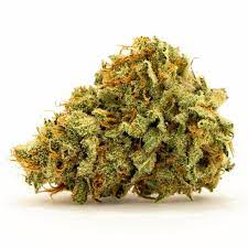 Sativa