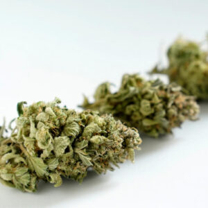 Marijuana Strains UK