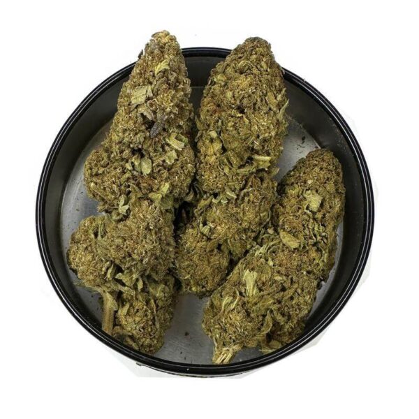 BC Kush Weed Strain