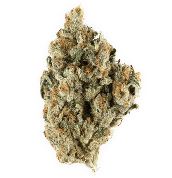 Blackberry Kush Cannabis Strain