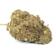Chocolate OG Marijuana Strain UK