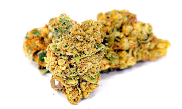 Dark Star Marijuana Strain