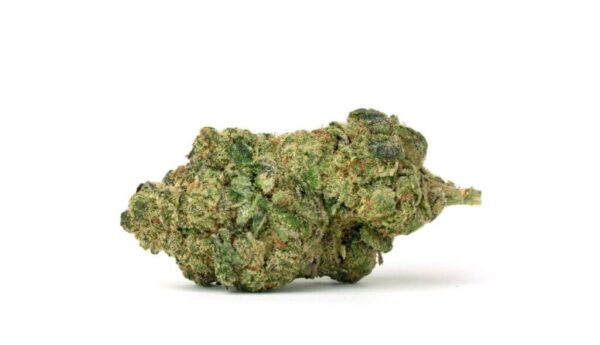 Donny Burger Marijuana Strain