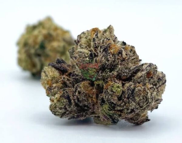 Green Dragon Marijuana Strain