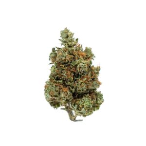 Hindu Kush Marijuana Strain