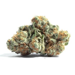 Holland Skunk Special Marijuana Strain