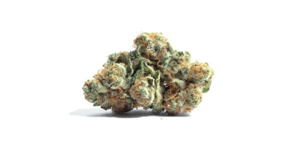 Holland Skunk Special Marijuana Strain
