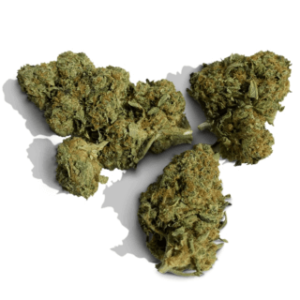Jackson's Jambo Marijuana Strain