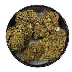 Jamaican Dream strain