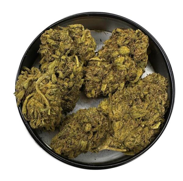 Jamaican Dream strain