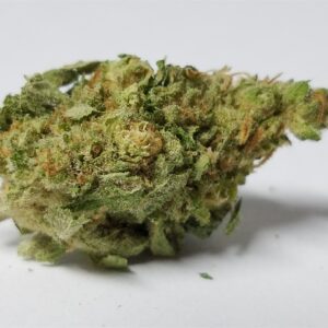 Jamaican Lambs Bread Marijuana Strain