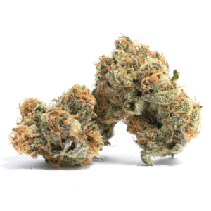 Oasis Marijuana Strain UK
