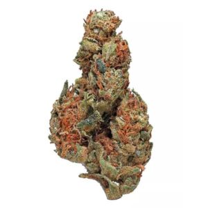 Panama Red Marijuana Strain