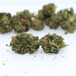 Pine Tar Kush Marijuana Strain