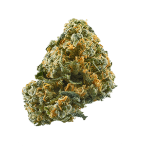 Sasquatch Marijuana Strain UK