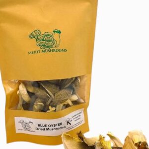 Dried Blue Oyster Mushrooms