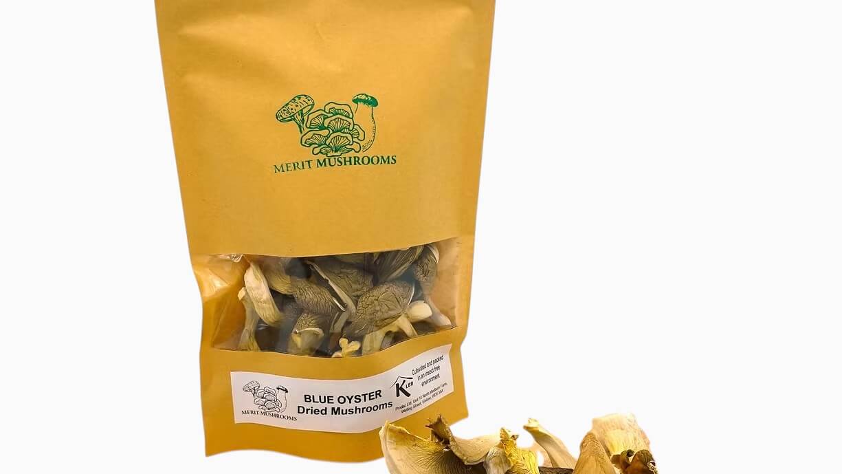 Dried Blue Oyster Mushrooms