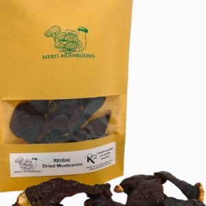 Dried Reishi Mushrooms UK