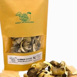 Dried Summer Oyster Mushrooms