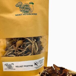 Dried Velvet Pioppini Mushrooms