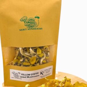 Dried Yellow Oyster Mushrooms