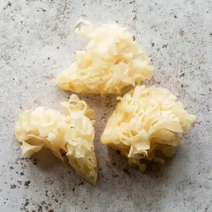 Fresh Cauliflower Mushrooms