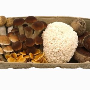 Fresh Exotic Mushroom Mix