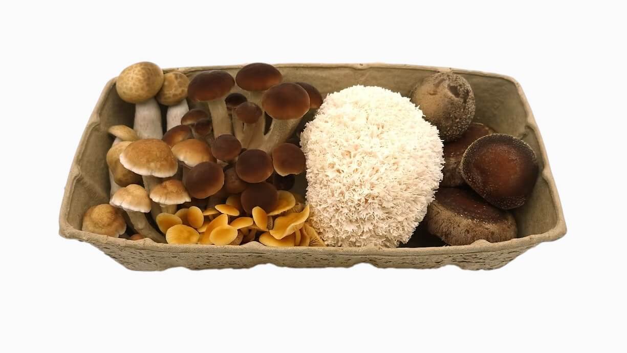 Fresh Exotic Mushroom Mix
