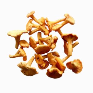 Fresh Girolles UK