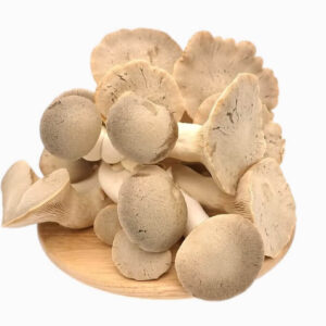 King Oyster Mushrooms