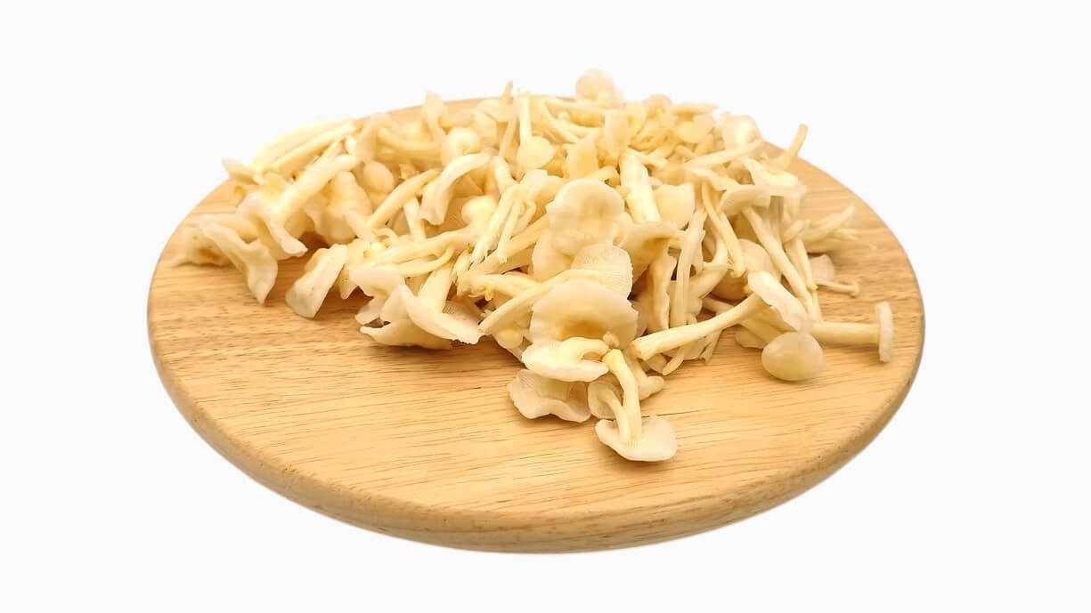 White Enoki Mushrooms UK