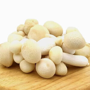 White Shimeji Mushrooms