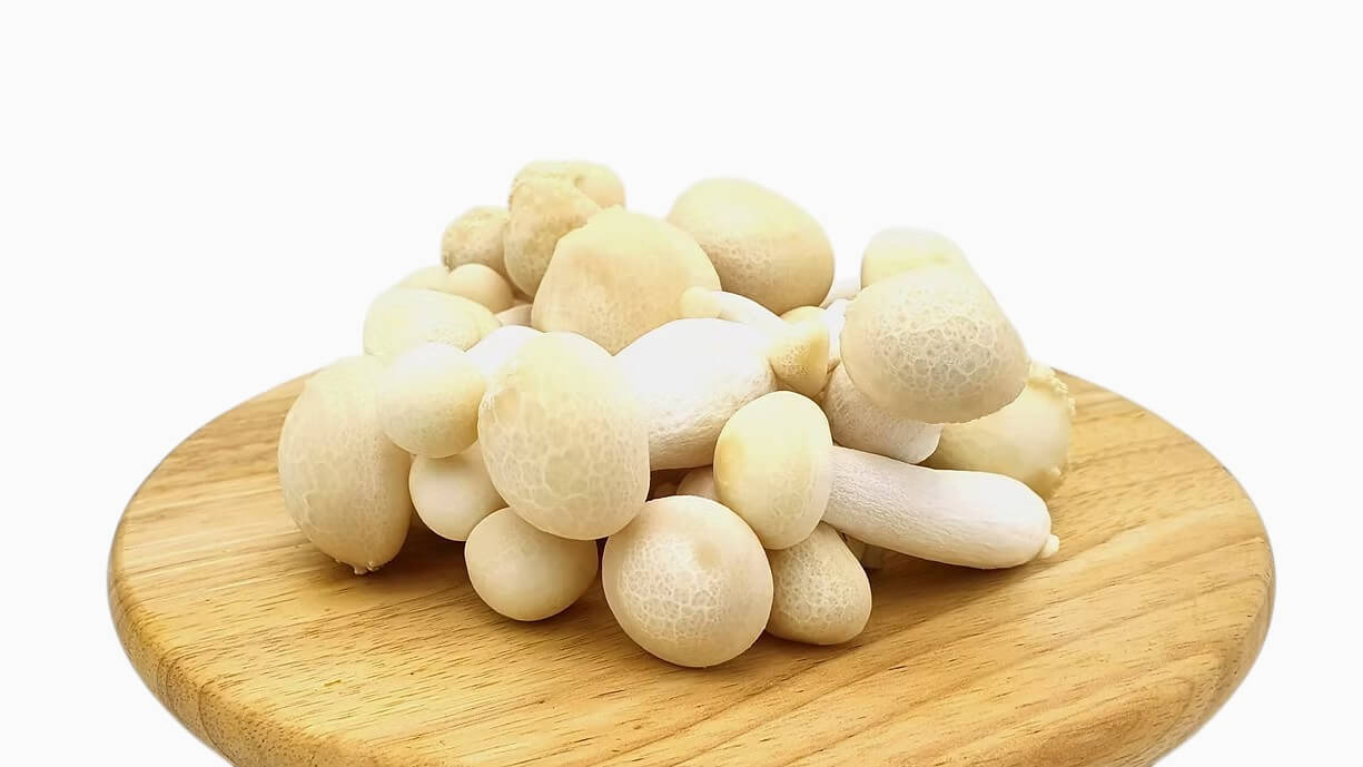 White Shimeji Mushrooms
